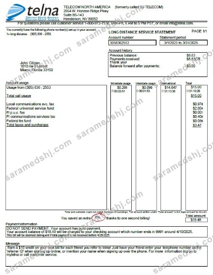 USA Telna utility bill template in Word and PDF formats